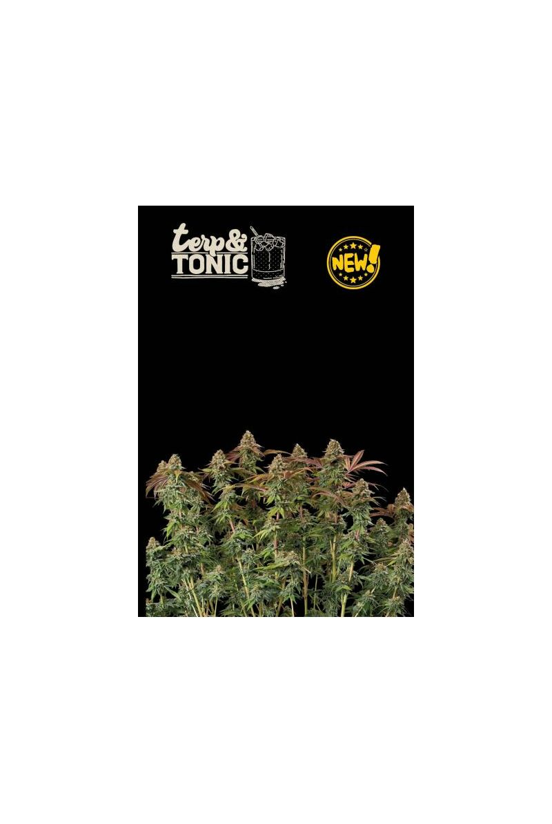 Terp & Tonic Auto, Фасовка: 3